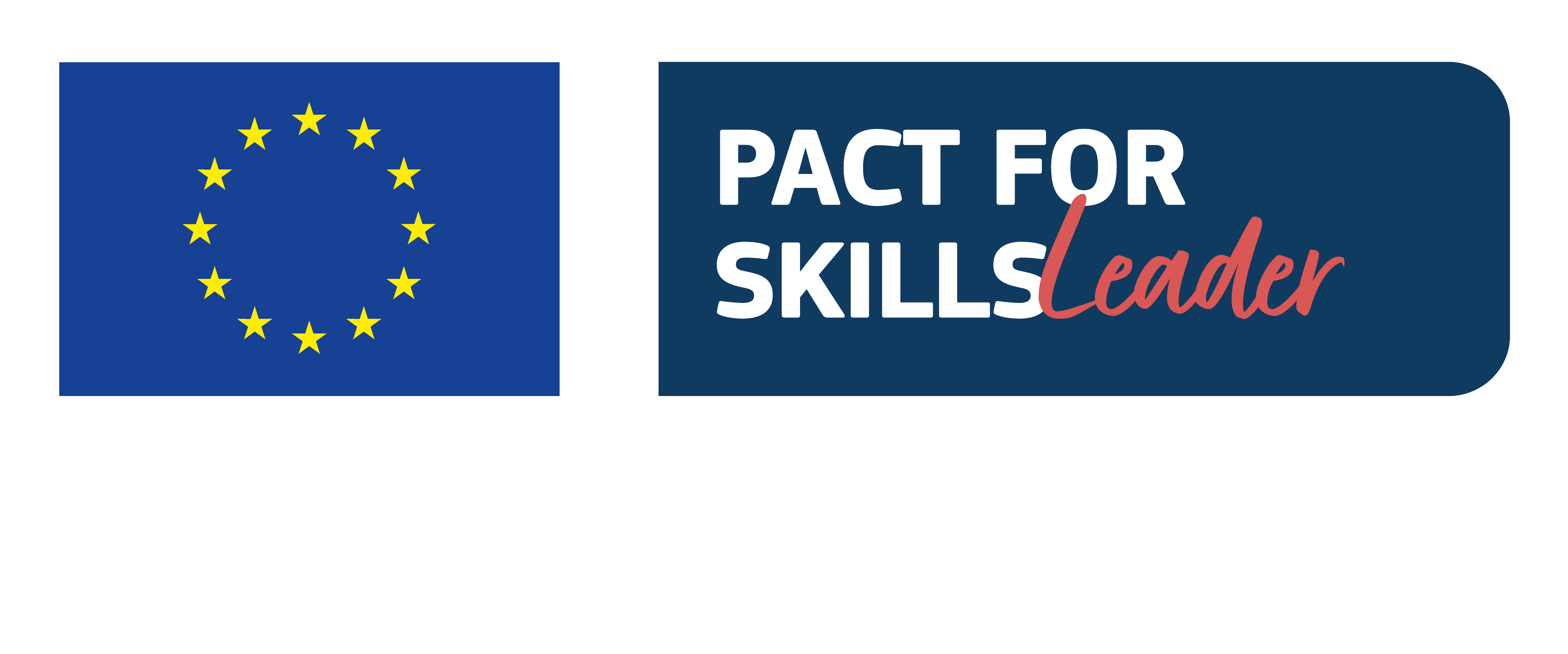 Pact for Skills Leader - European Commission